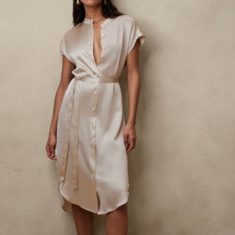 Banana Republic Serenade Silk Shirt Dress